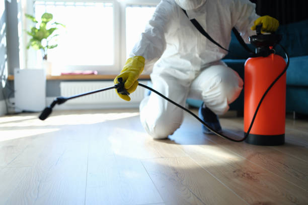 Reliable Odor Removal contractor in Rumney, NH by Trauma Clean Pros
